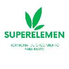 superelement